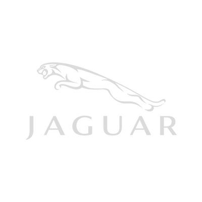 Jaguar_grey